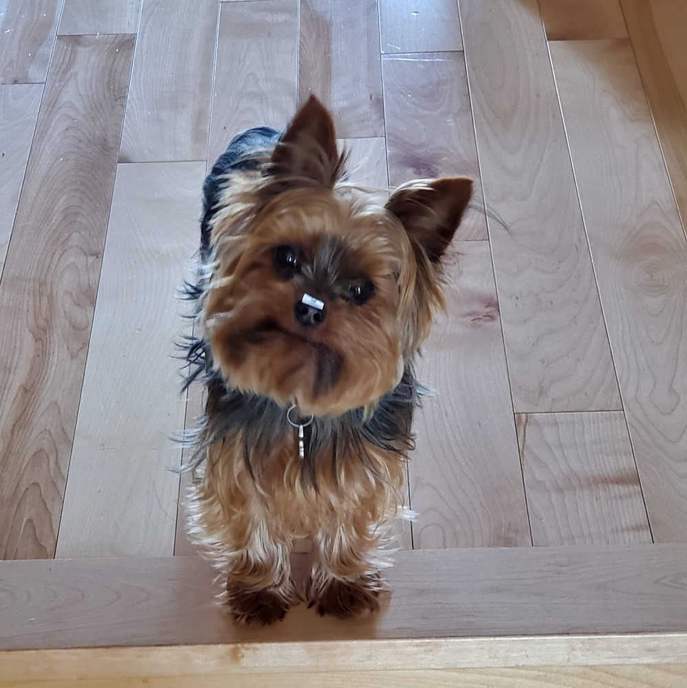 Meet your Posher, Brigitte